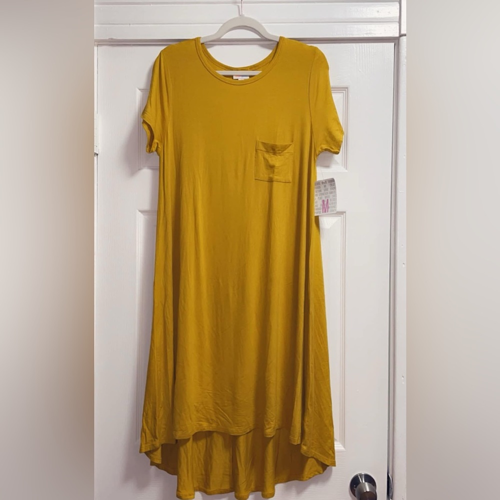 New Medium LulaRoe Carly Dress